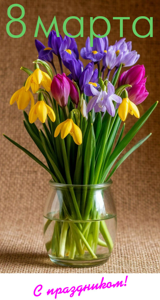 ������������� ������� ���� 8 �����